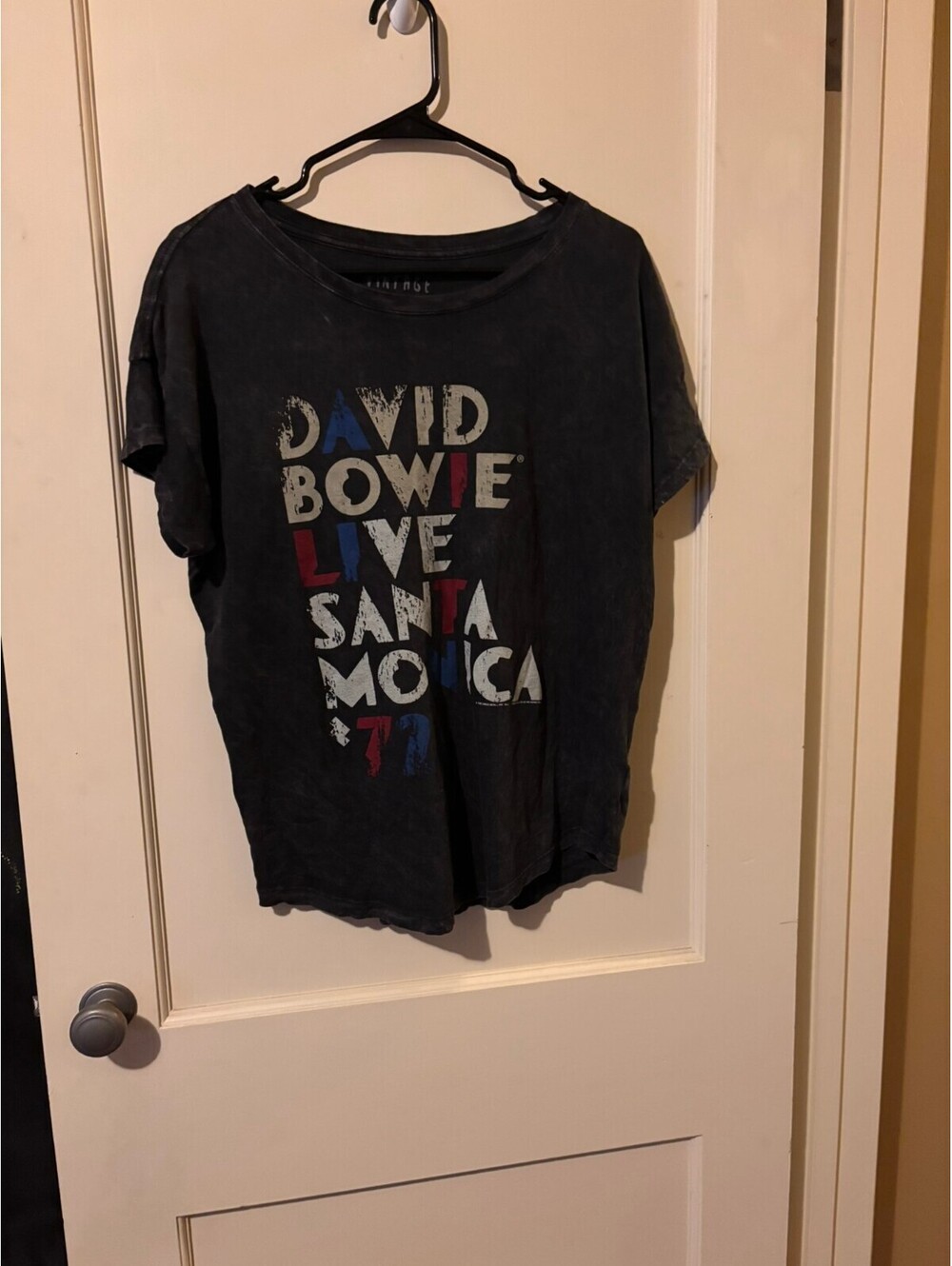 Vintage Canvas David Bowie Live Santa Monica T-shirt